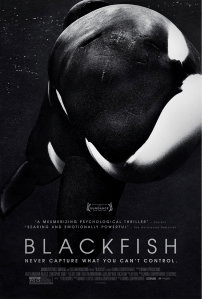 blackfish
